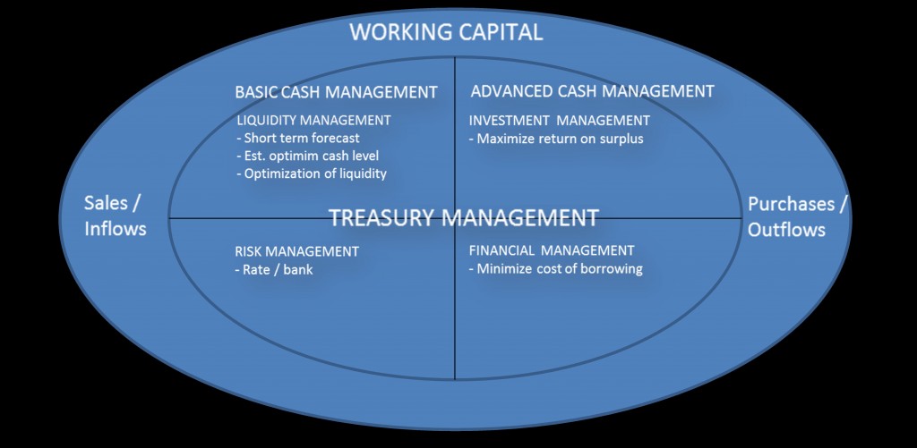 Treasury Management Working Capital